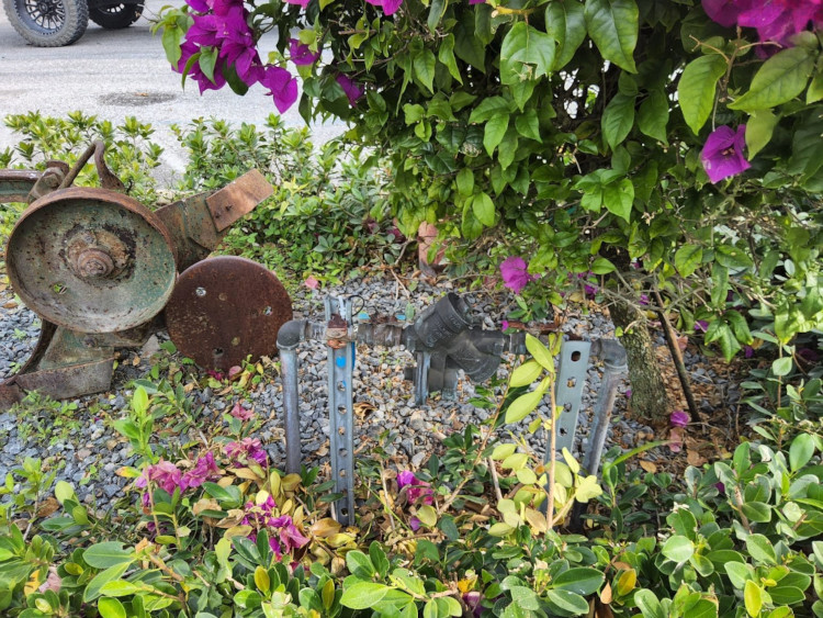 a small backflow assembly in garden in Fort Lauderdale