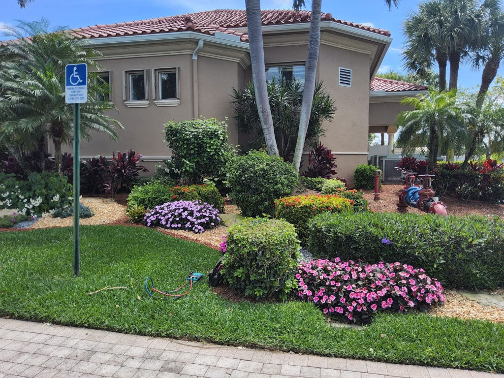 Lawn and garden with large backflow assembly in Fort Lauderdale